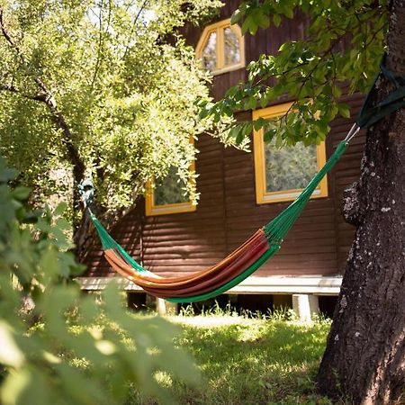Barna Faház Apartman Tarnaszentmaria Kültér fotó